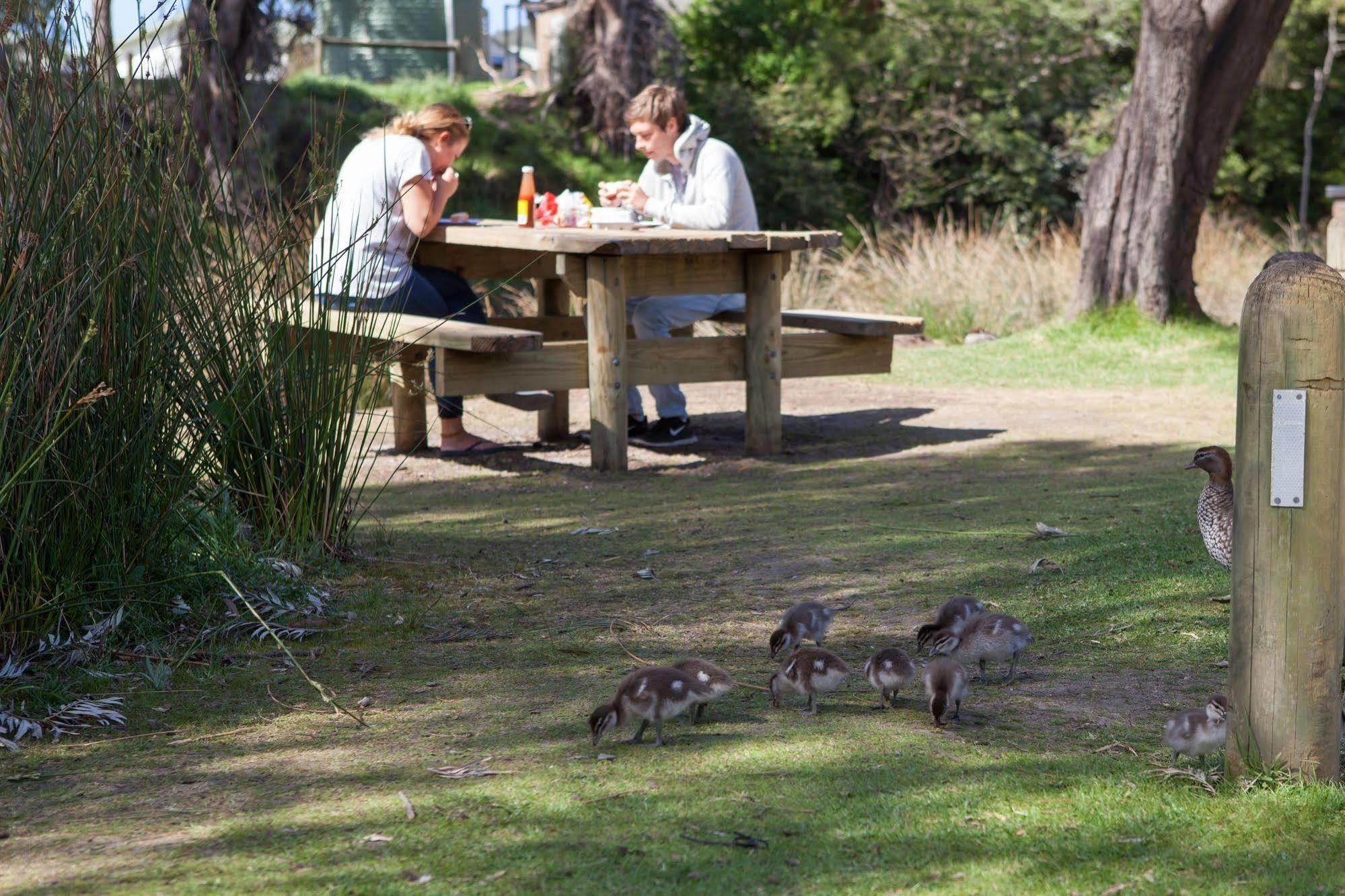 Lorne Foreshore Caravan Park Экстерьер фото